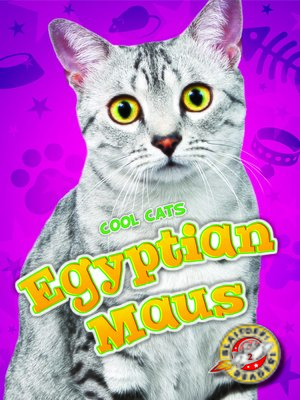 cover image of Egyptian Maus